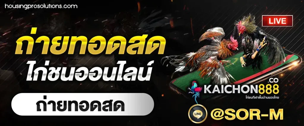 Kaichon888